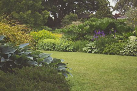 Lush green garden with manicured lawn, shrubs, and trees, accented by yellow and purple flowers