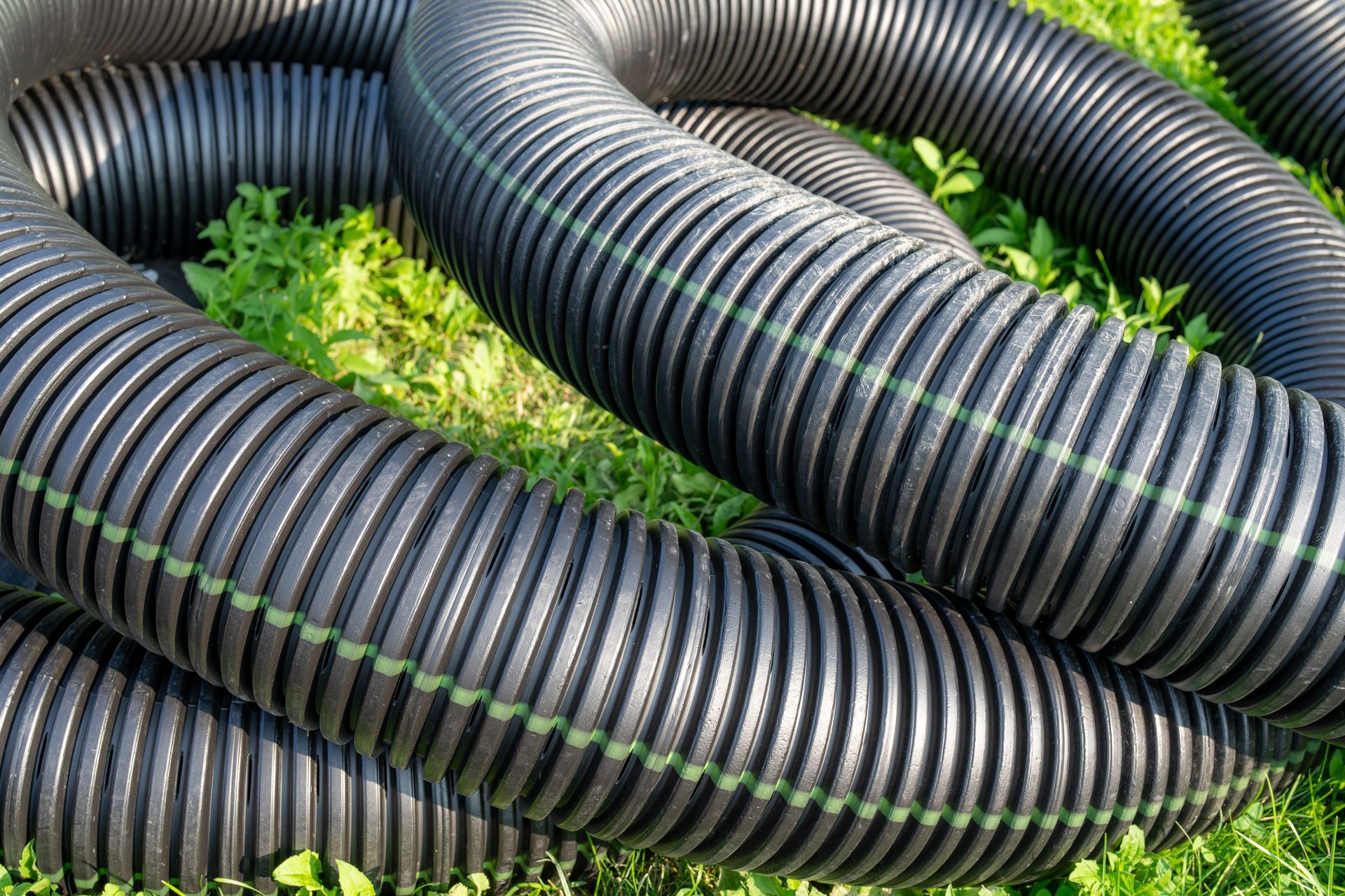 Coiled black corrugated drainage pipes on grass with green plants around them