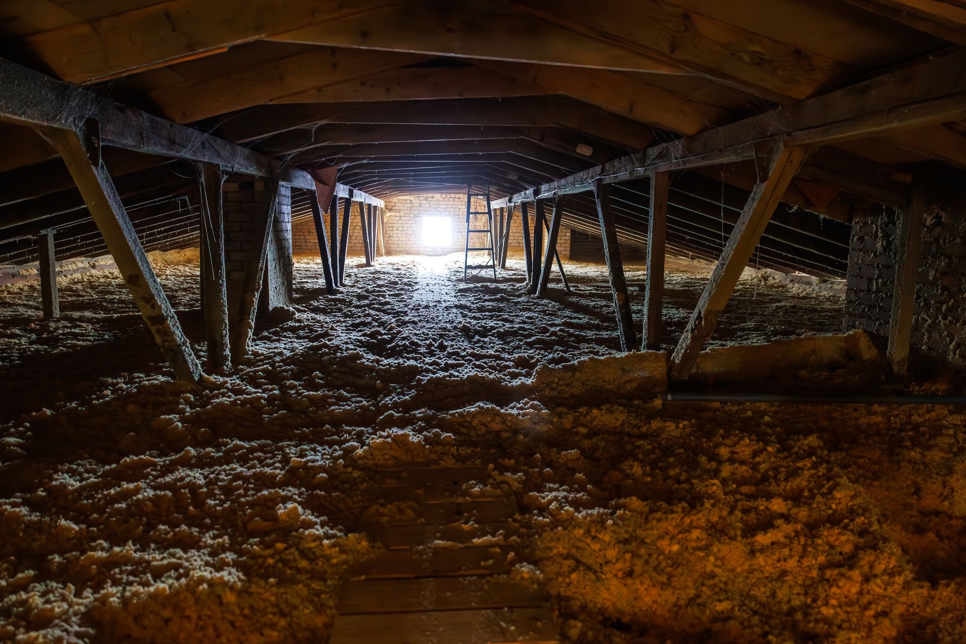 Flooded crawl space with insulated pipes and standing brown water beneath a house