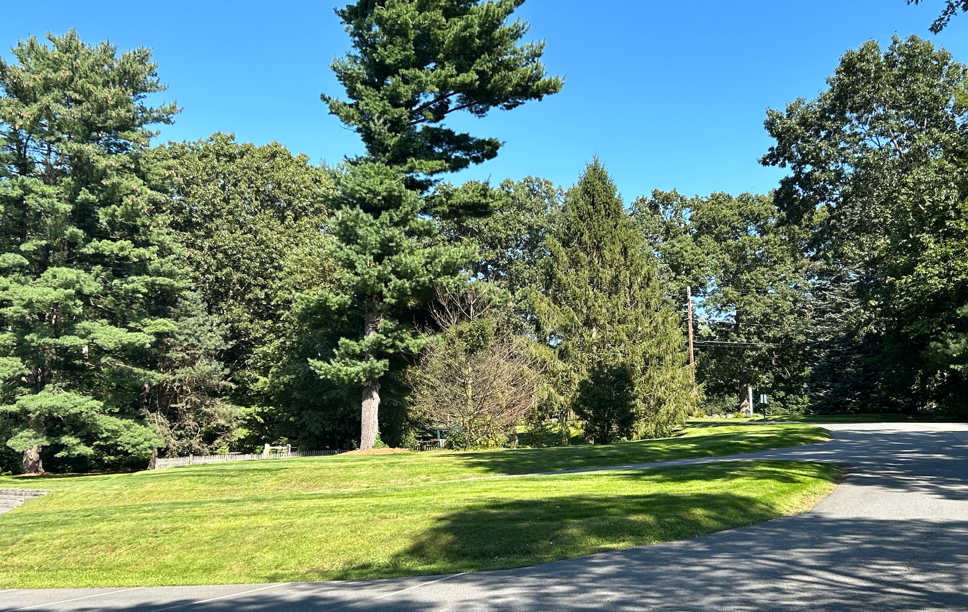 Lush green grass and trees with a blue sky. Sunlight casts shadows on a paved path.