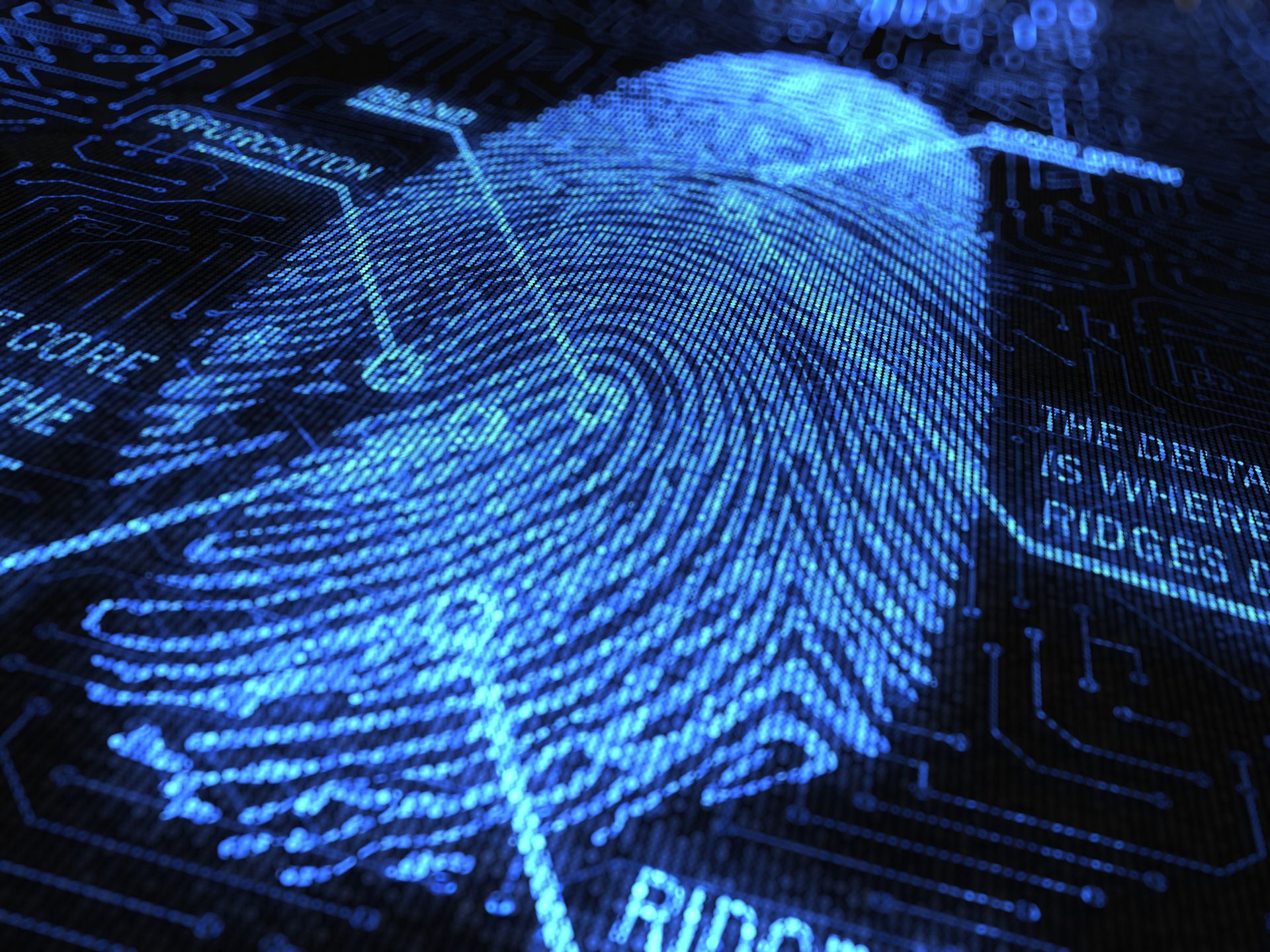 A close up of a fingerprint on a computer screen