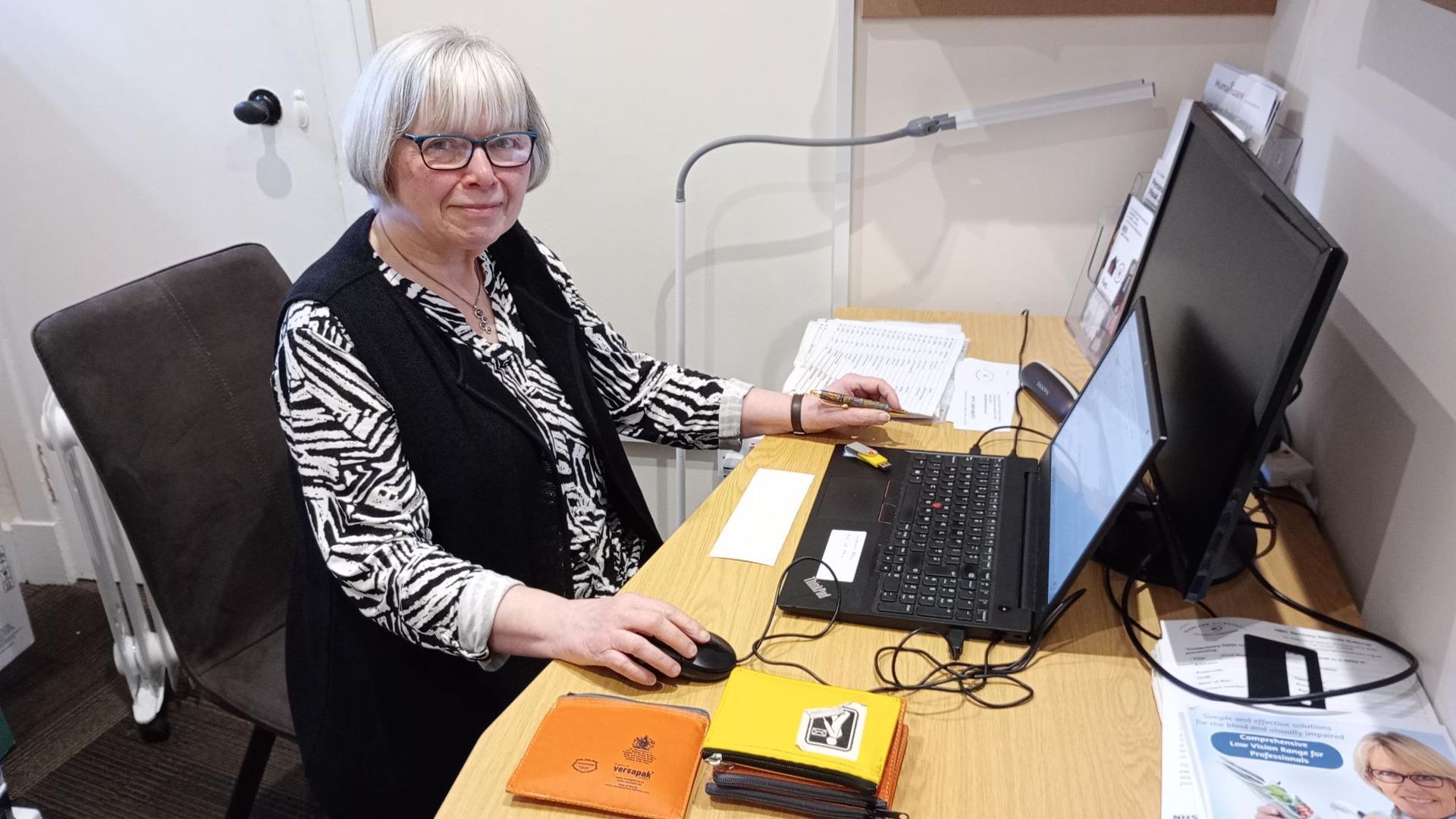 A lady with silver hair sits at a computer.