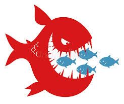 Fishes —  Peabody, MA — The Eye Place
