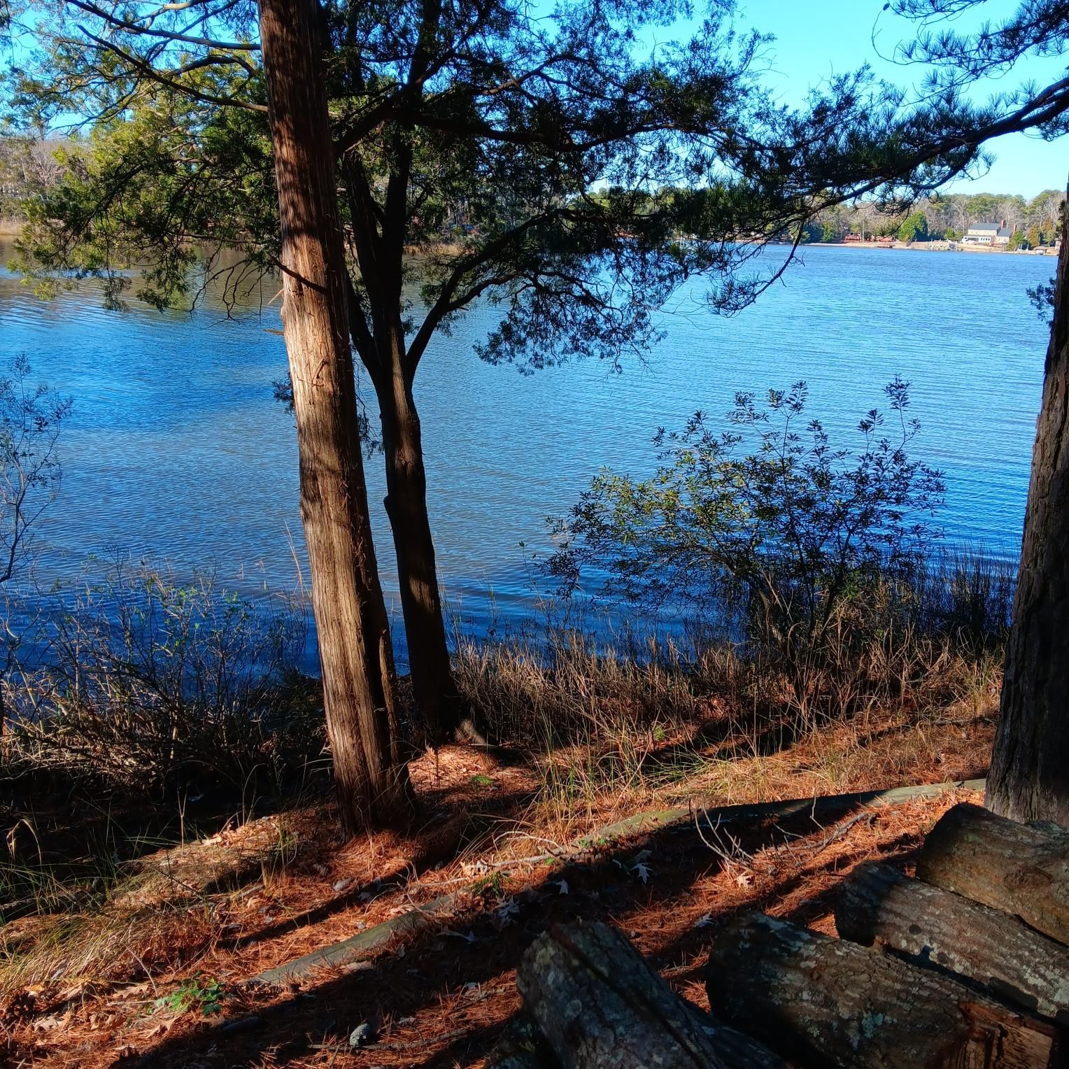 Lakeside view with trees in the foreground, bright blue water, and a sunny sky.