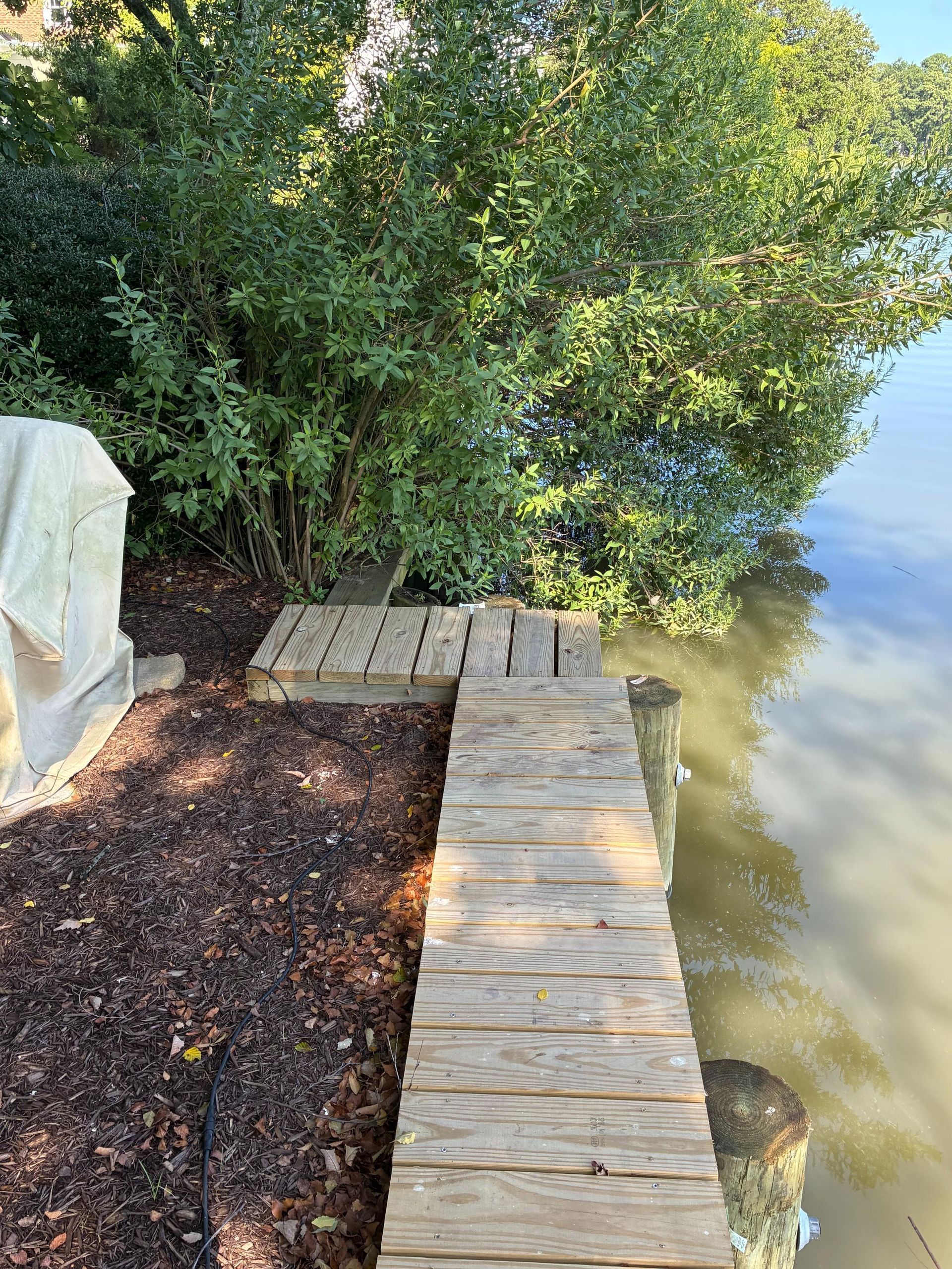 Wooden dock extending into a body of water, near a shrub and some mulch.