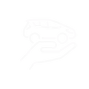 Comprehensive auto coverage icon
