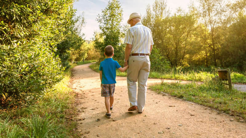 grandparent rights