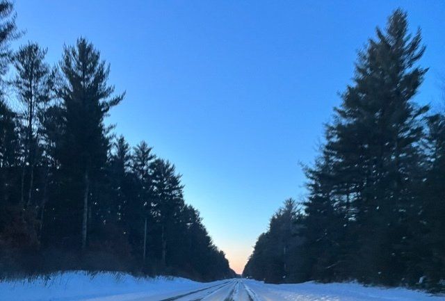 snow covered road with trees on each side and lots of blue sky