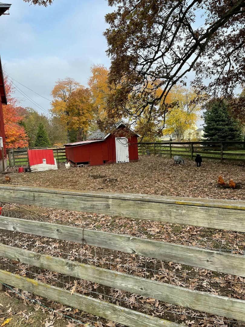A wooden fence surrounds a chicken coop on a farm.