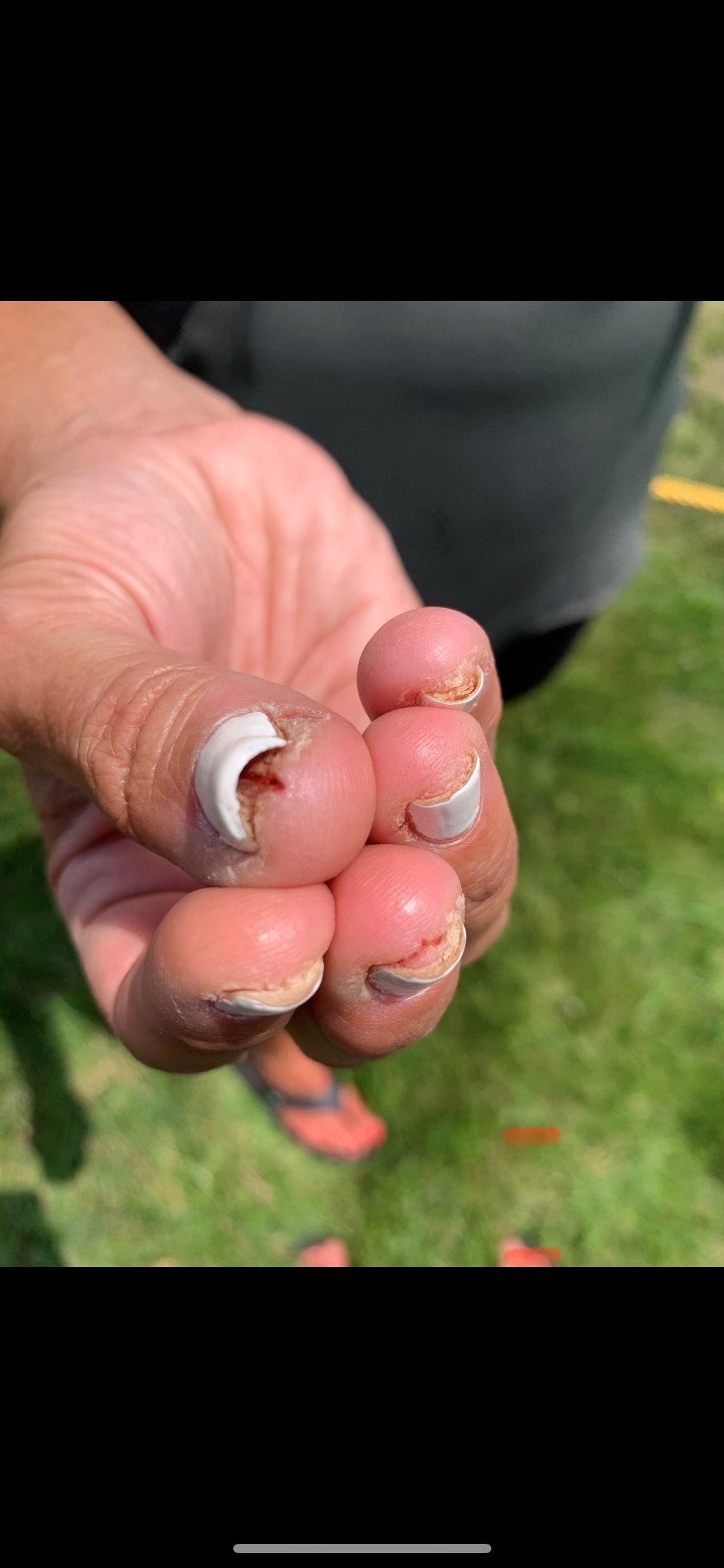 A person is holding a claw in their hand.