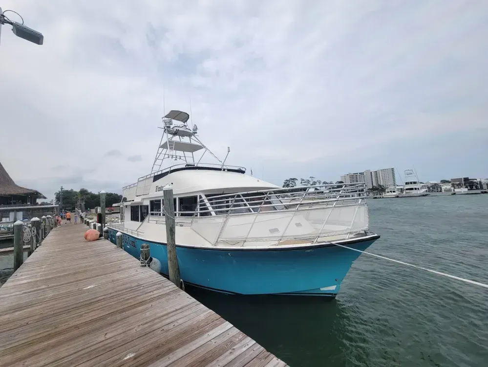 dolphin cruise orange beach