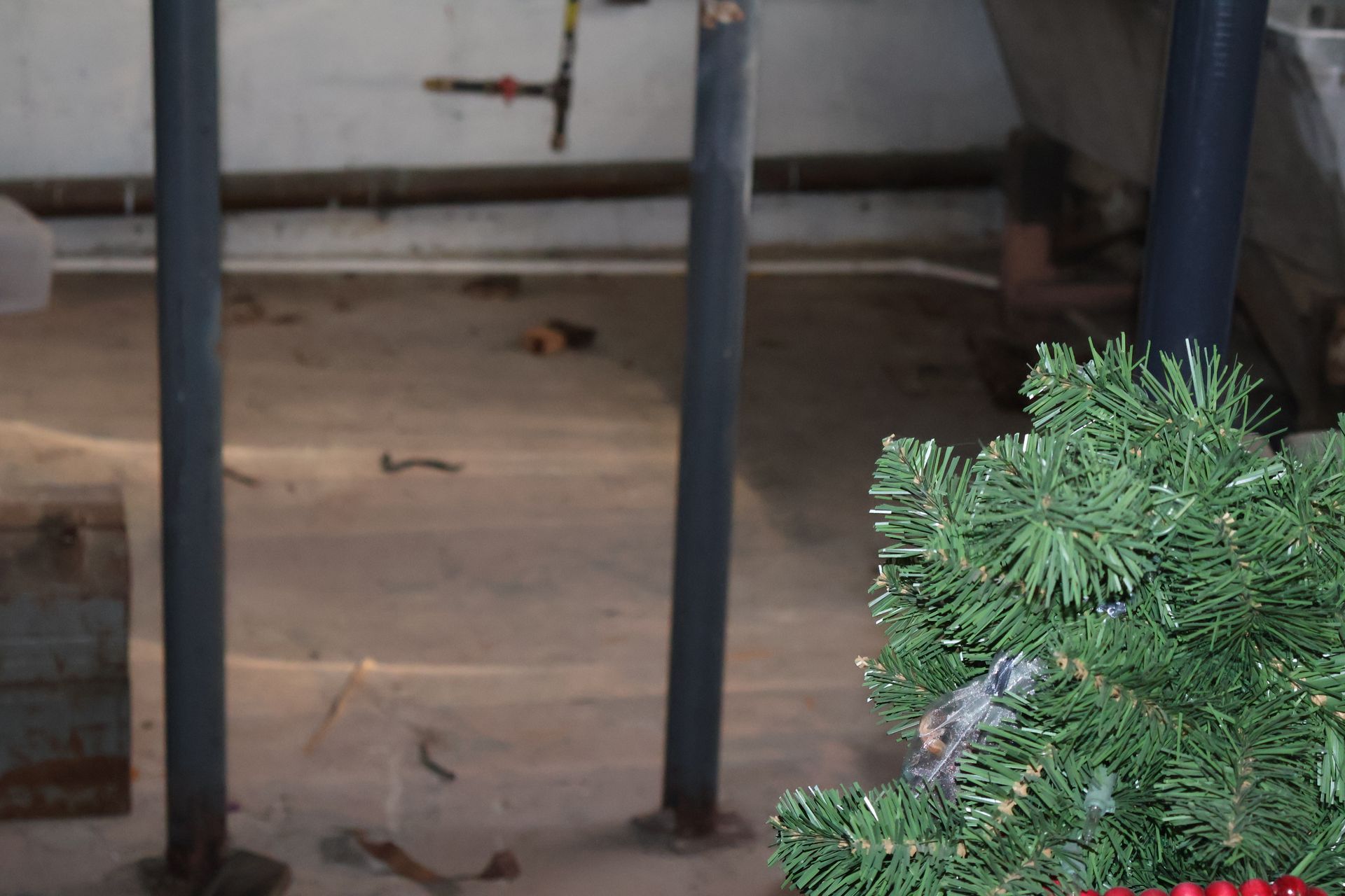 An unfinished basement area featuring two vertical support poles and a pine tree branch in the foreground.
