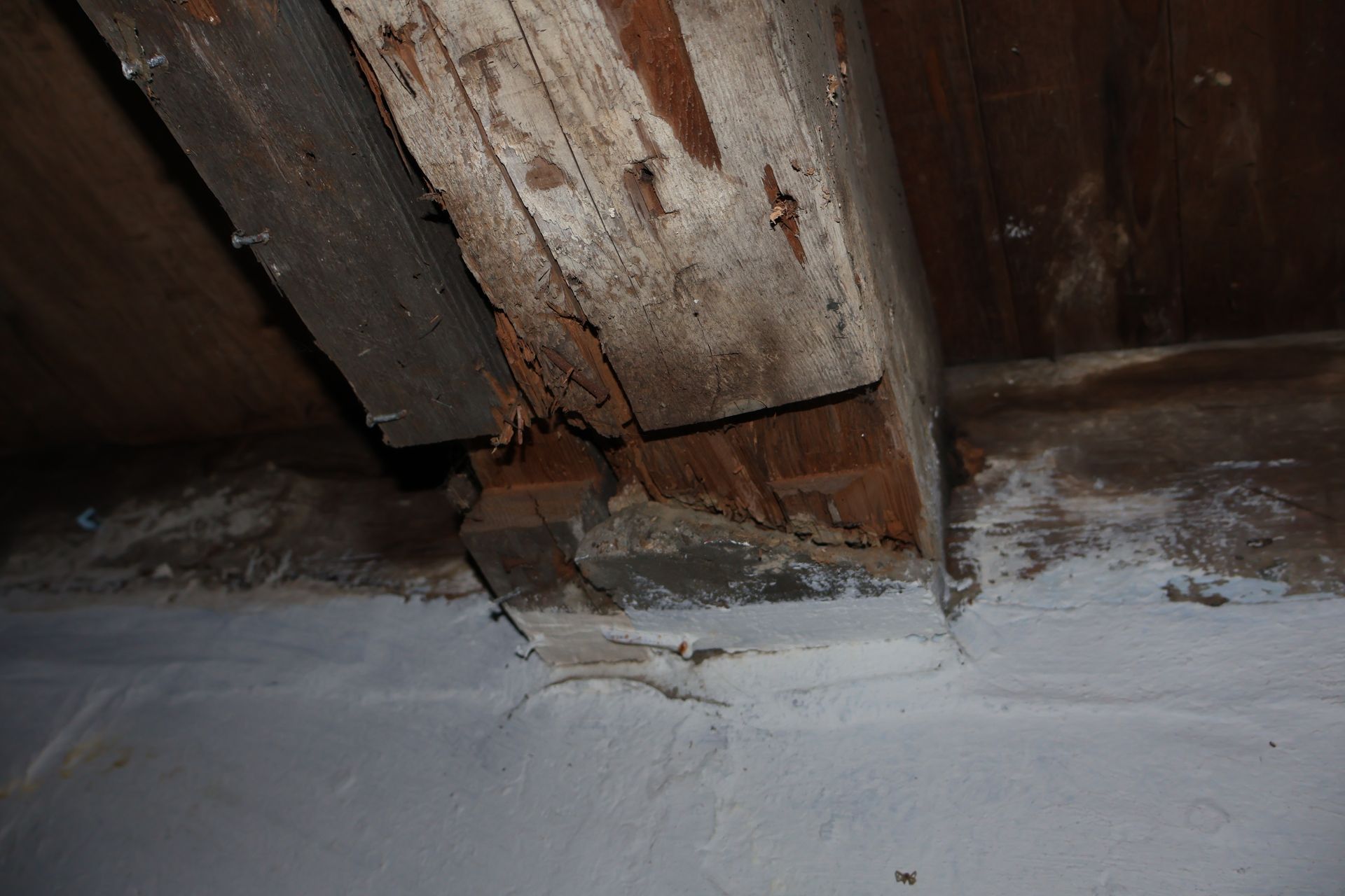 A damaged wooden support beam rests on a white masonry foundation, showing signs of splintering and wood decay.