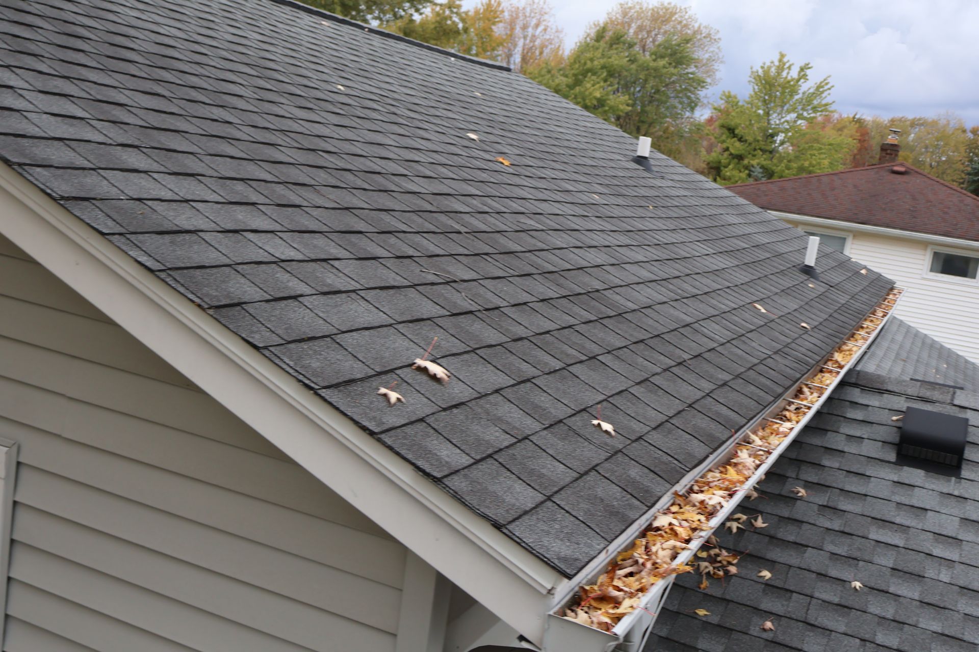 A shingled house roof with a gutter filled with dry leaves on a sunny day.