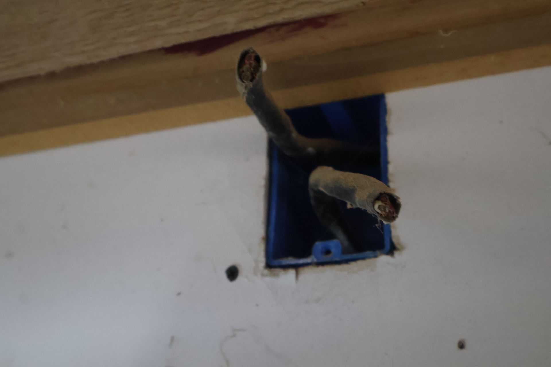Two thick electrical cables extend from a blue plastic junction box embedded in a white wall.