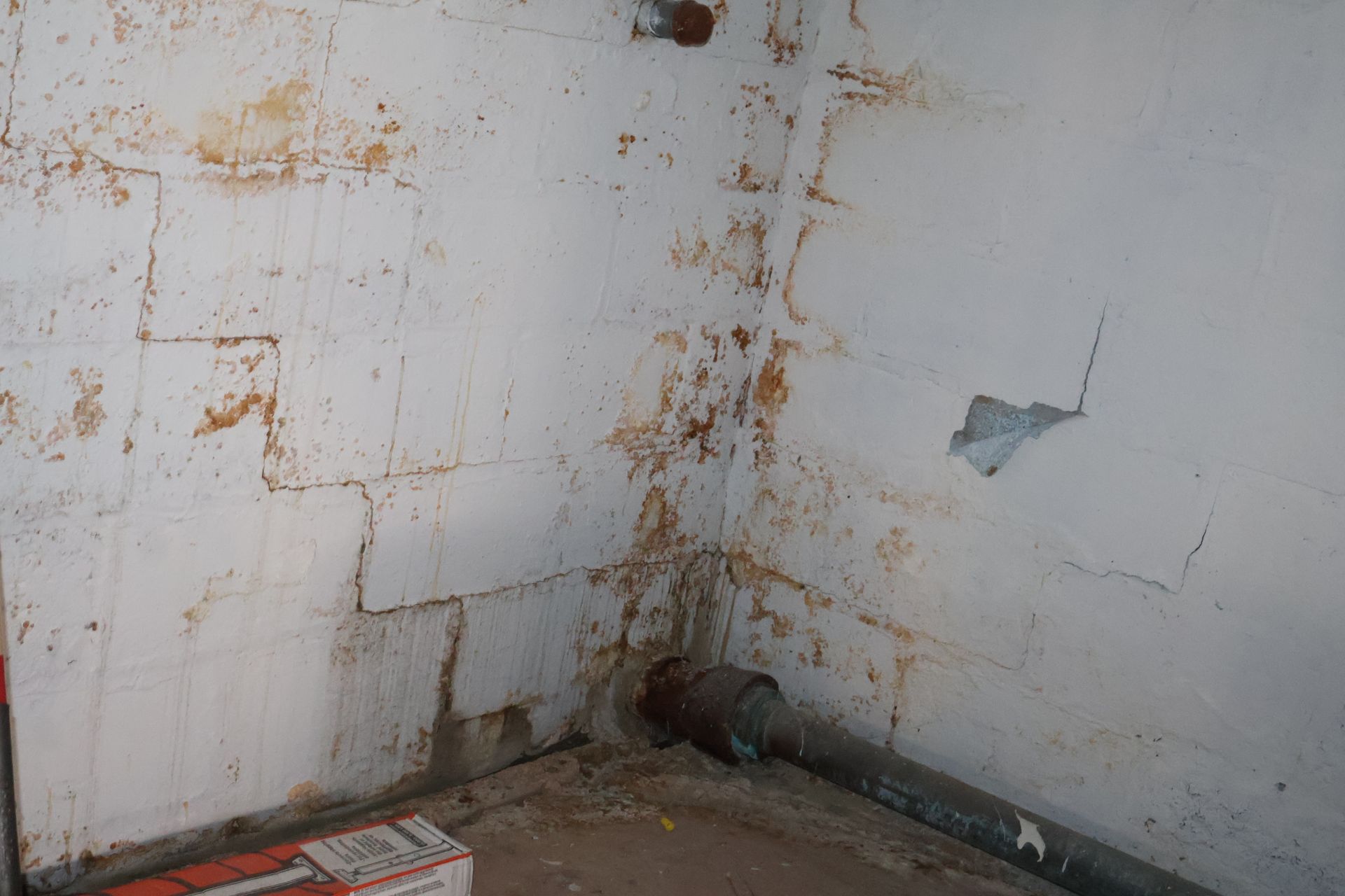 A corner of a basement with moisture damage, showing cracked, peeling white paint on concrete blocks and a metal pipe.