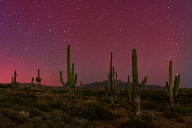 arizona-aurora-2026-03-15-23-30-46-utc