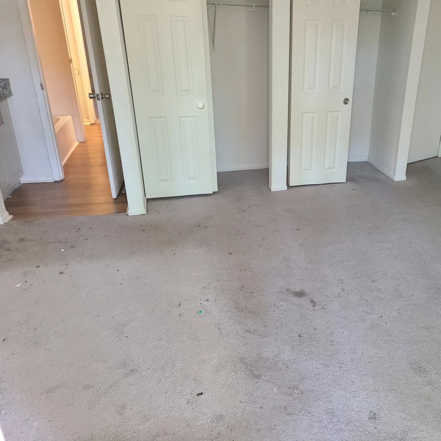 Bedroom with stained, light-colored carpet, two white closet doors, and a doorway to a hallway with hardwood flooring.