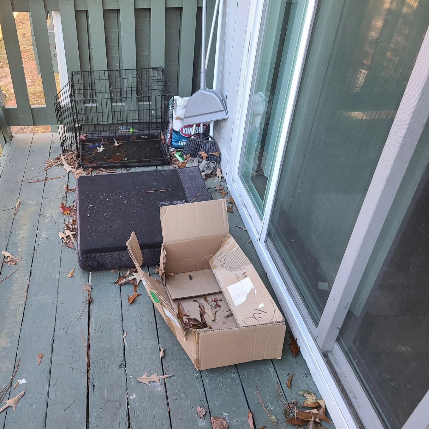 Deck with debris: a damaged cardboard box, a pet crate, a black foam block, and leaves.