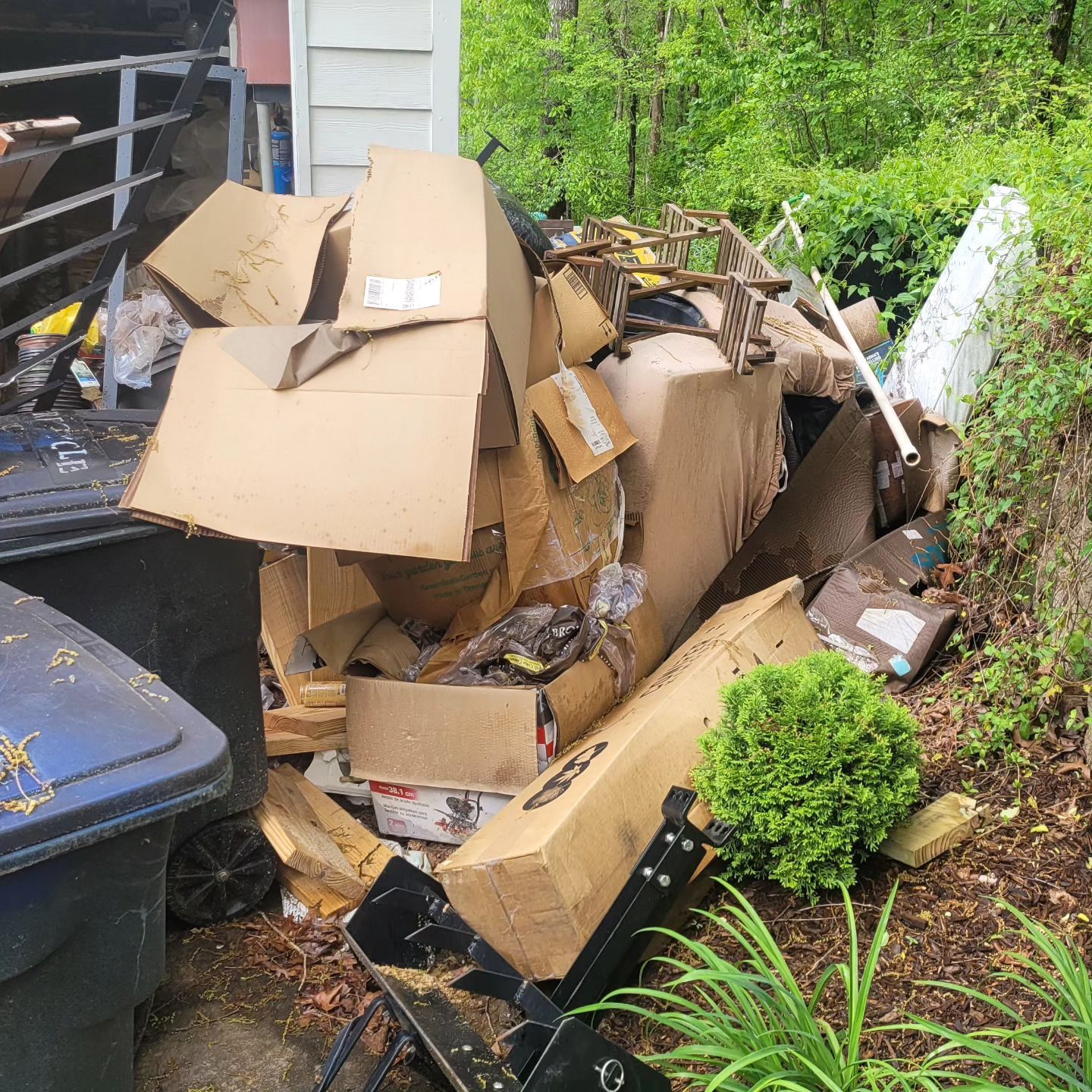 Pile of cardboard boxes and debris overflowing from a trash bin, next to a building and greenery.