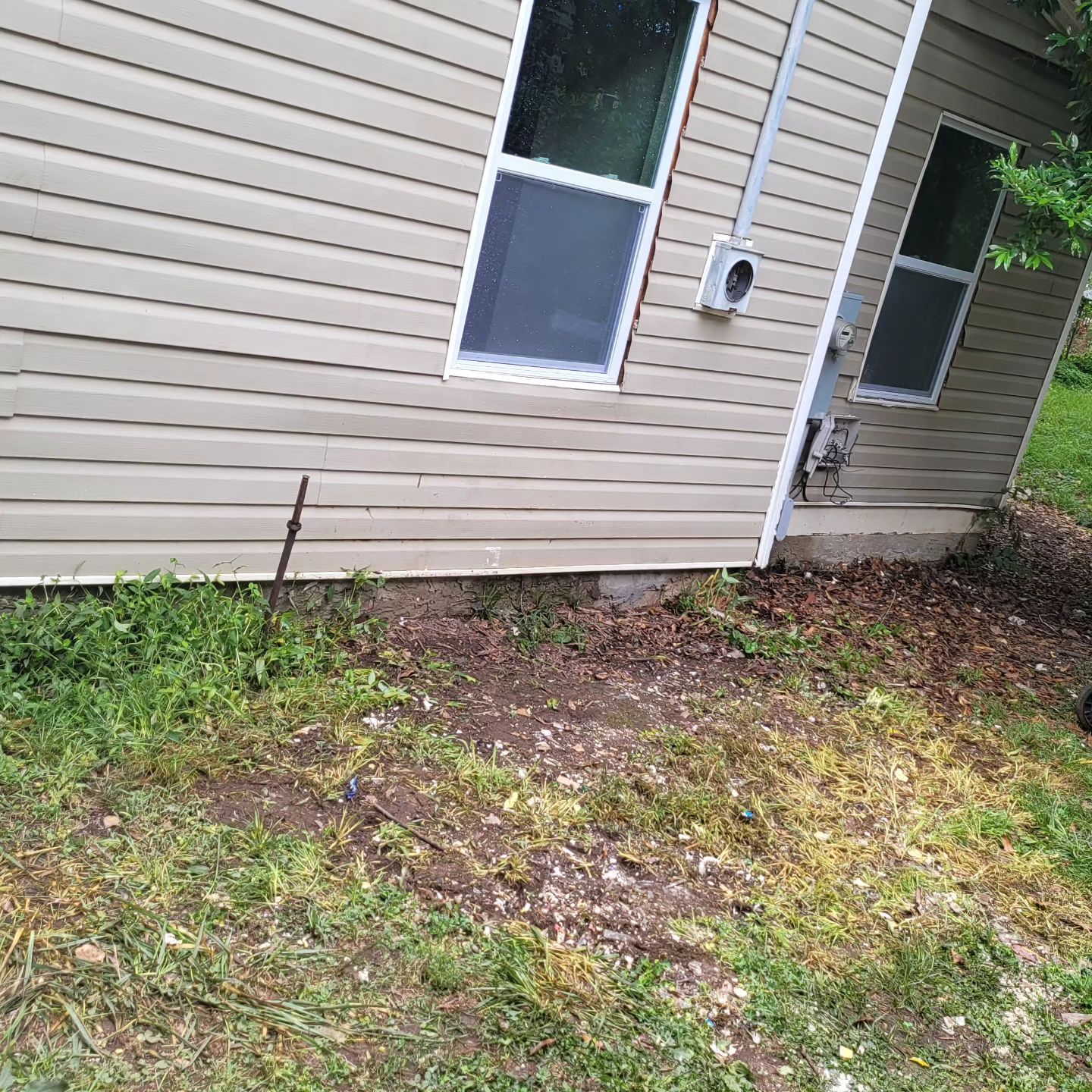 Tan house siding with two windows and electrical box. Green grass and dirt in front.
