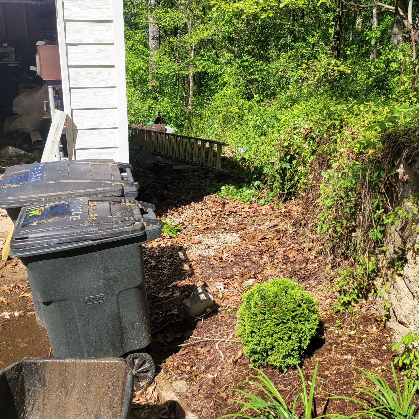 Two trash cans next to a white building. Mulch and greenery surround them.