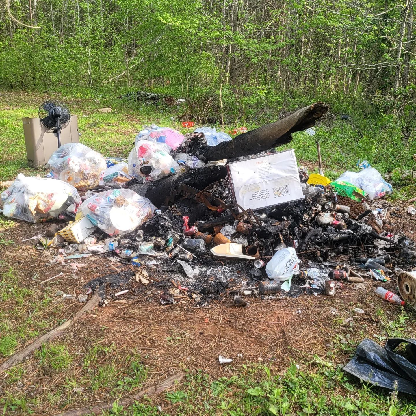 Pile of burnt trash and litter in a wooded area. Plastic bags, cardboard, and debris scattered.