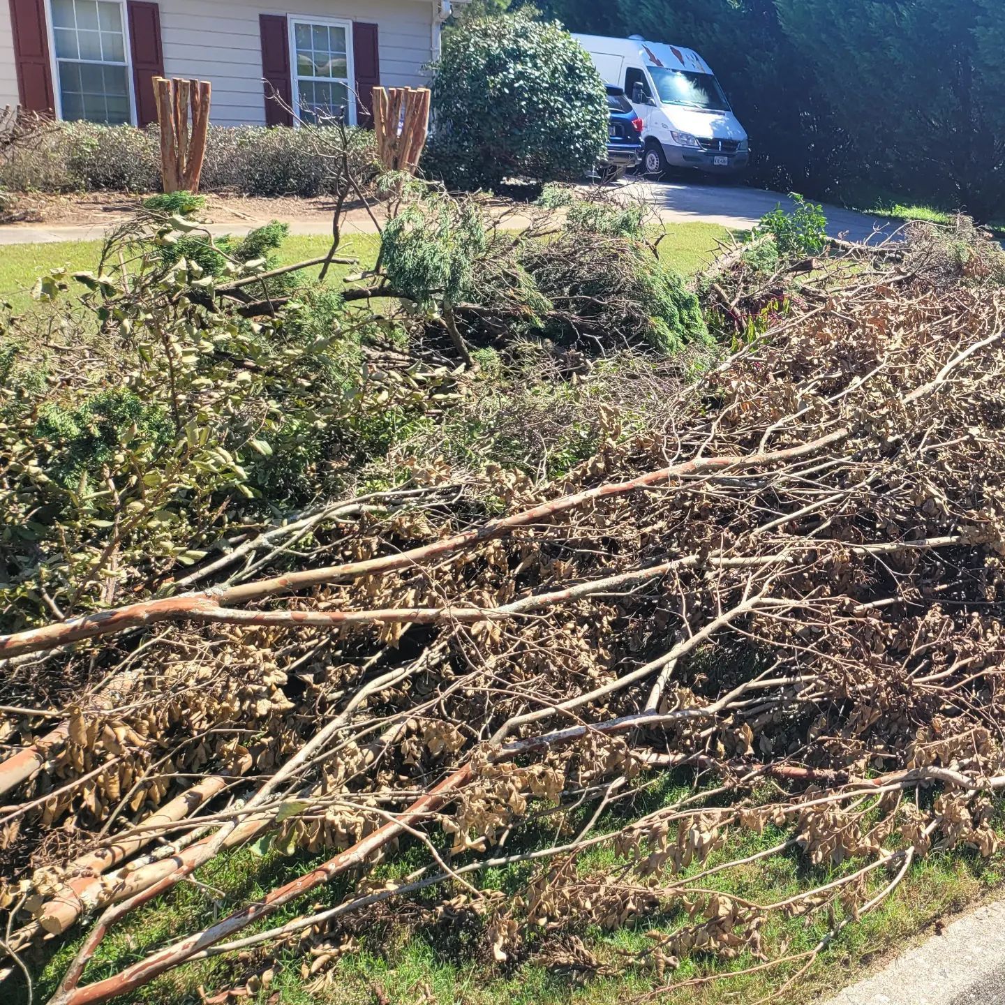 Pile of tree branches on grass with a white van parked in the background in front of a house.