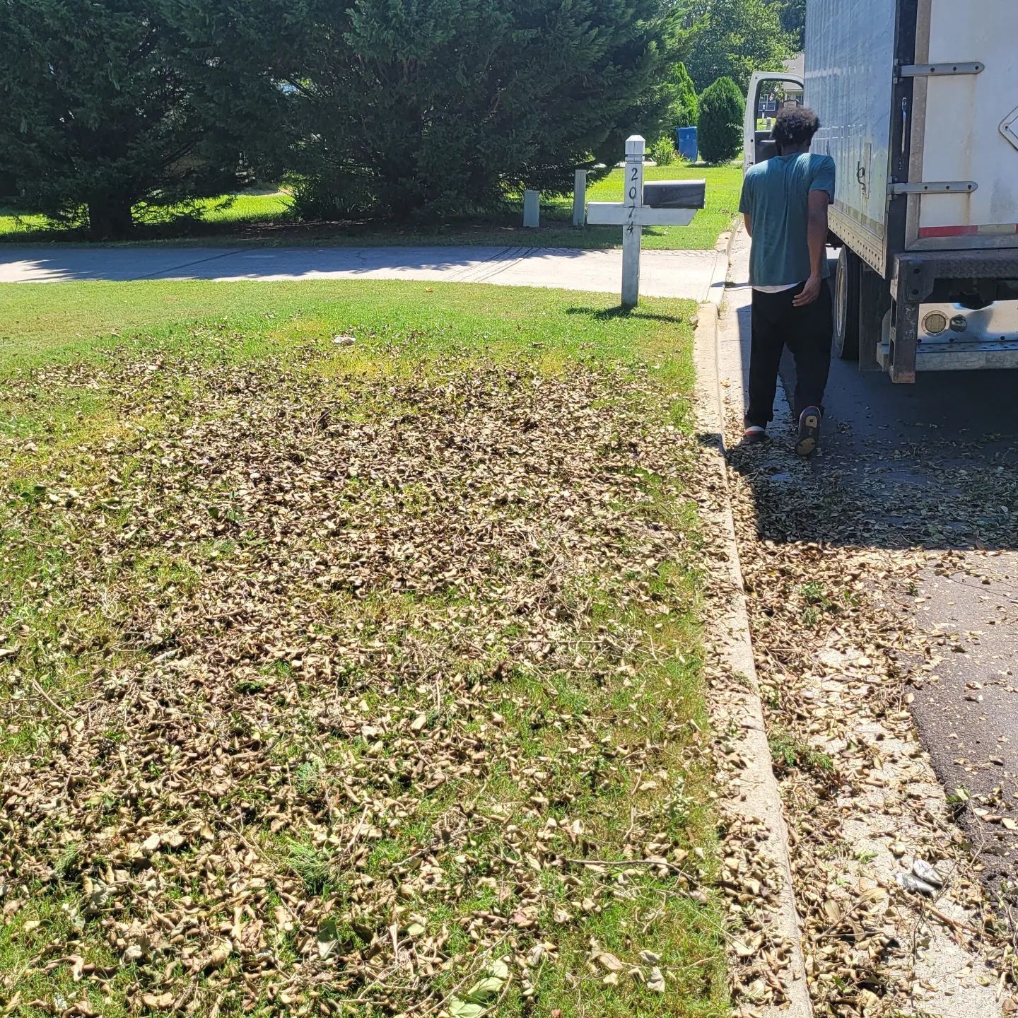 Man near a truck unloading leaves onto a lawn in front of a mailbox on a sunny day.