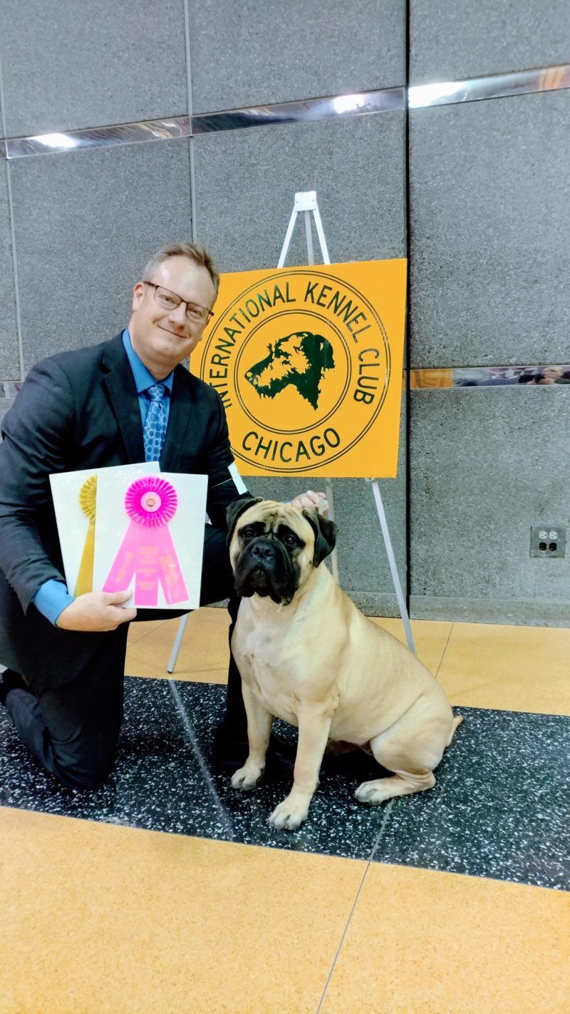 A man kneeling next to a pug dog holding a ribbon