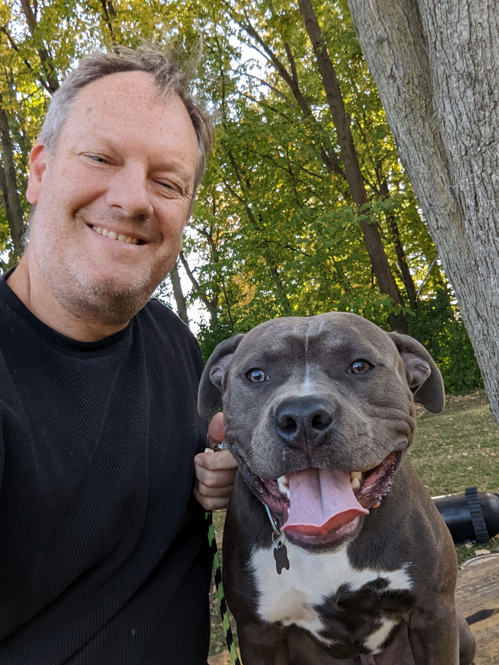 A smiling person takes a selfie with a gray and white pit bull dog outdoors in a wooded area with trees. Dog trainer in Novi MI.