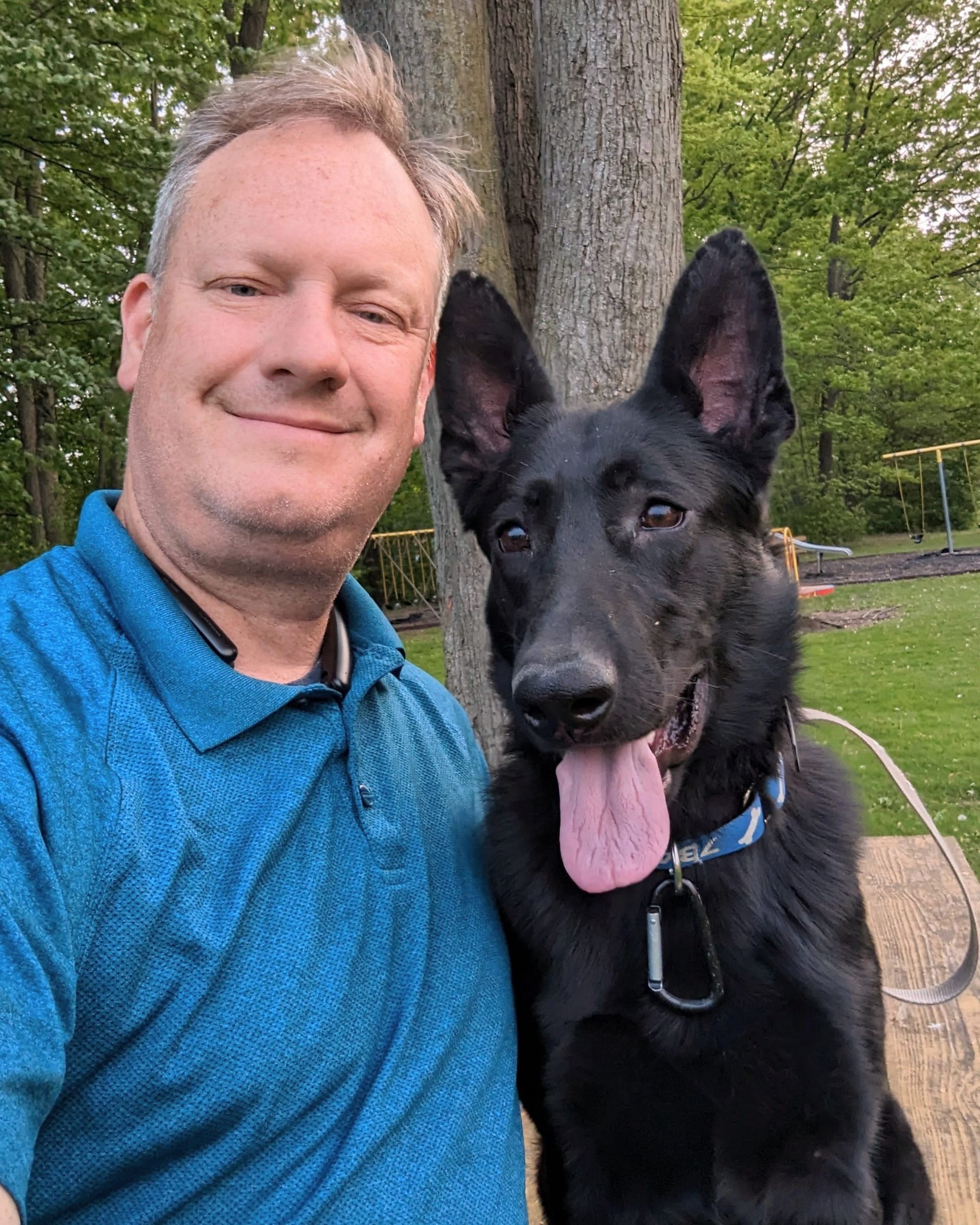 A person in a blue polo shirt poses for a selfie next to a large black German Shepherd with its tongue out, in a park. Dog trainer in Tecumseh MI.