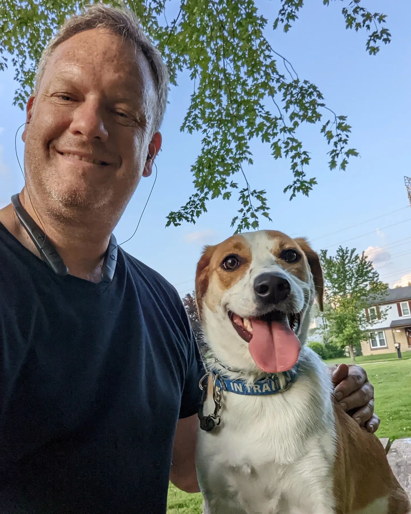 A man smiles next to a happy, white and brown dog with its tongue out in a sunlit grassy area with trees and a house. Dog trainer in Plymouth MI.