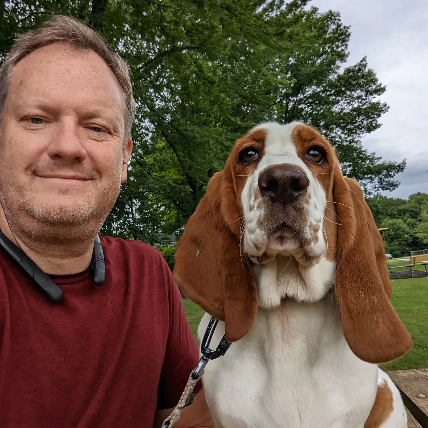 A person and a brown-and-white Basset Hound pose for a selfie in an outdoor park setting with trees in the background. Dog trainer in Ann Arbor MI.