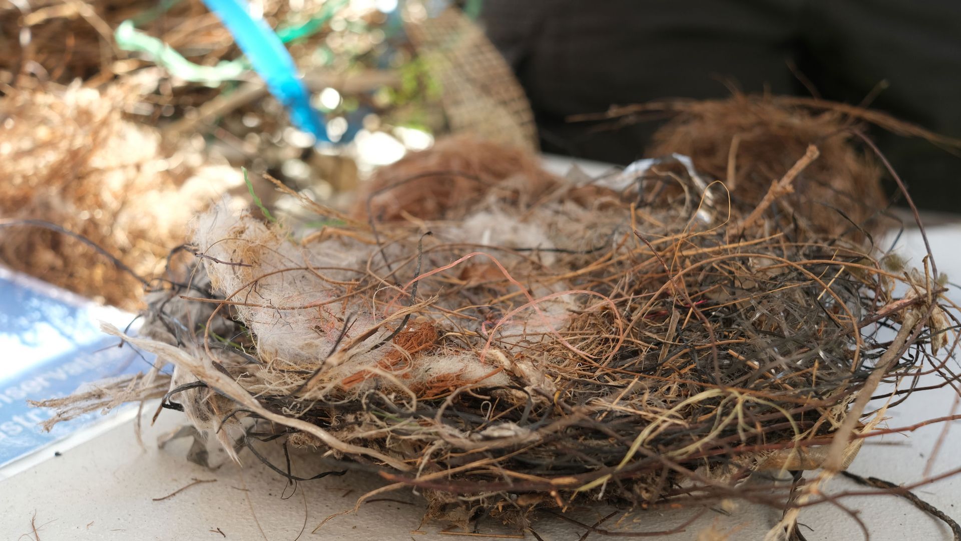 A close up of a bird nest on a table.