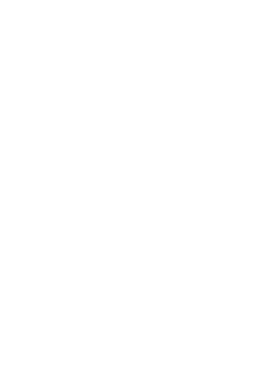 Mostly blank white image with thin black vertical bars along the left and right edges.