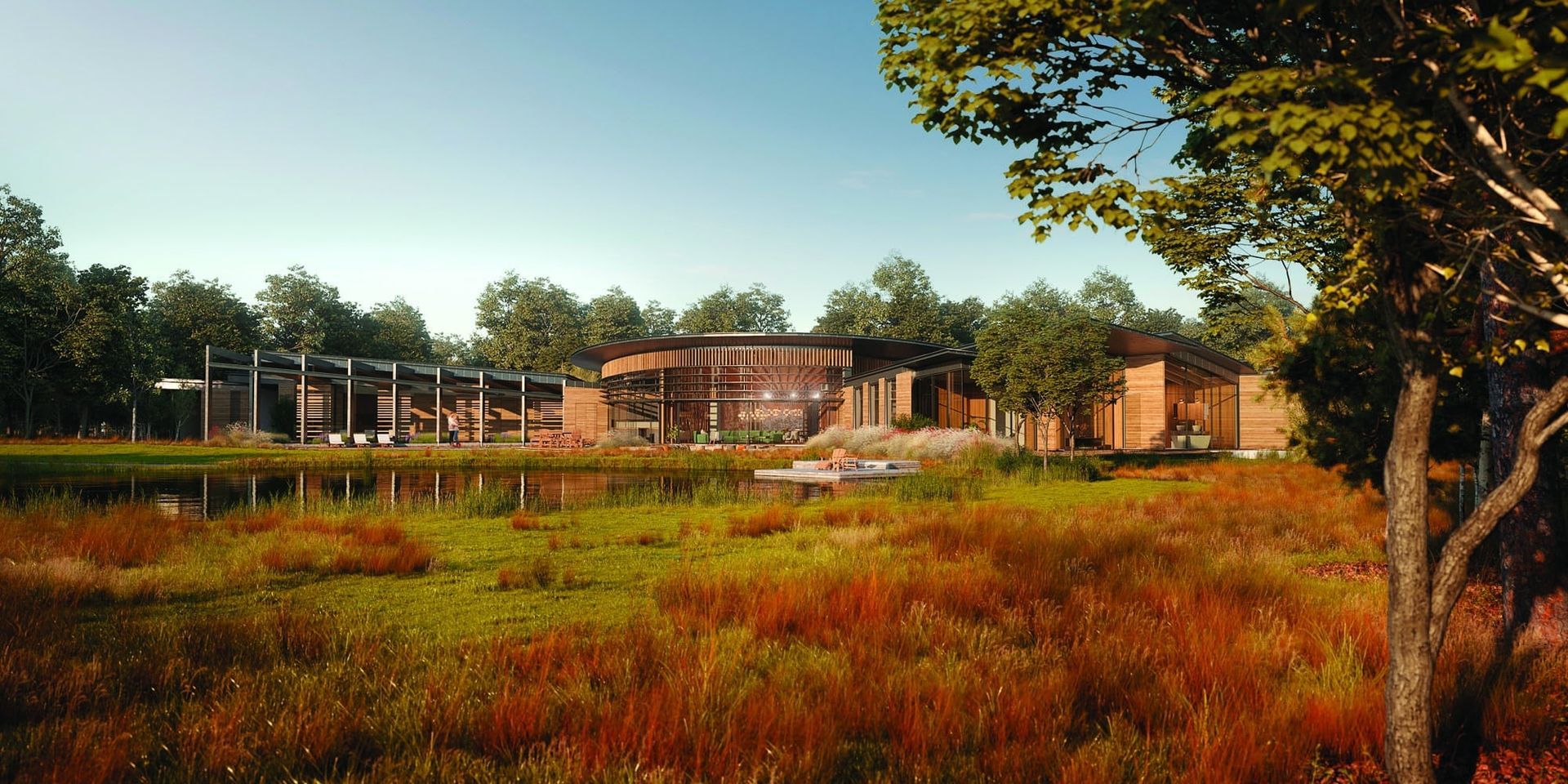 Modern house with large windows beside a meadow of orange wildflowers and trees in warm sunlight