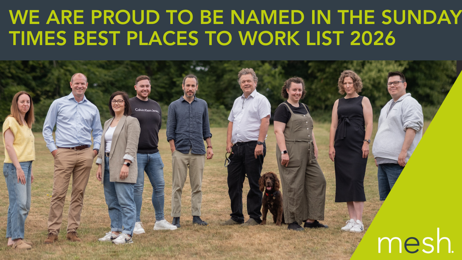 Mesh Named in The Sunday Times Best Places to Work List 2026
