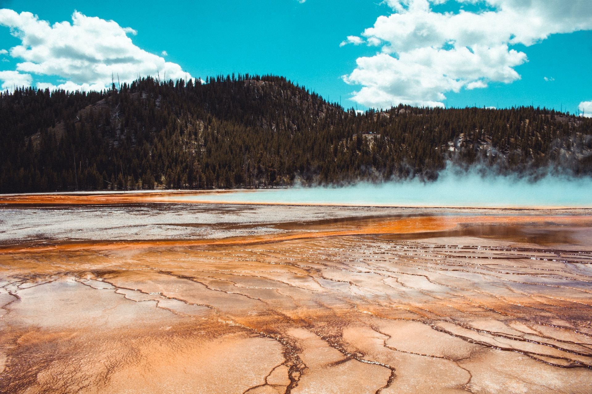 Geothermal Technology for Architects: Understanding the Four Types of Collectors