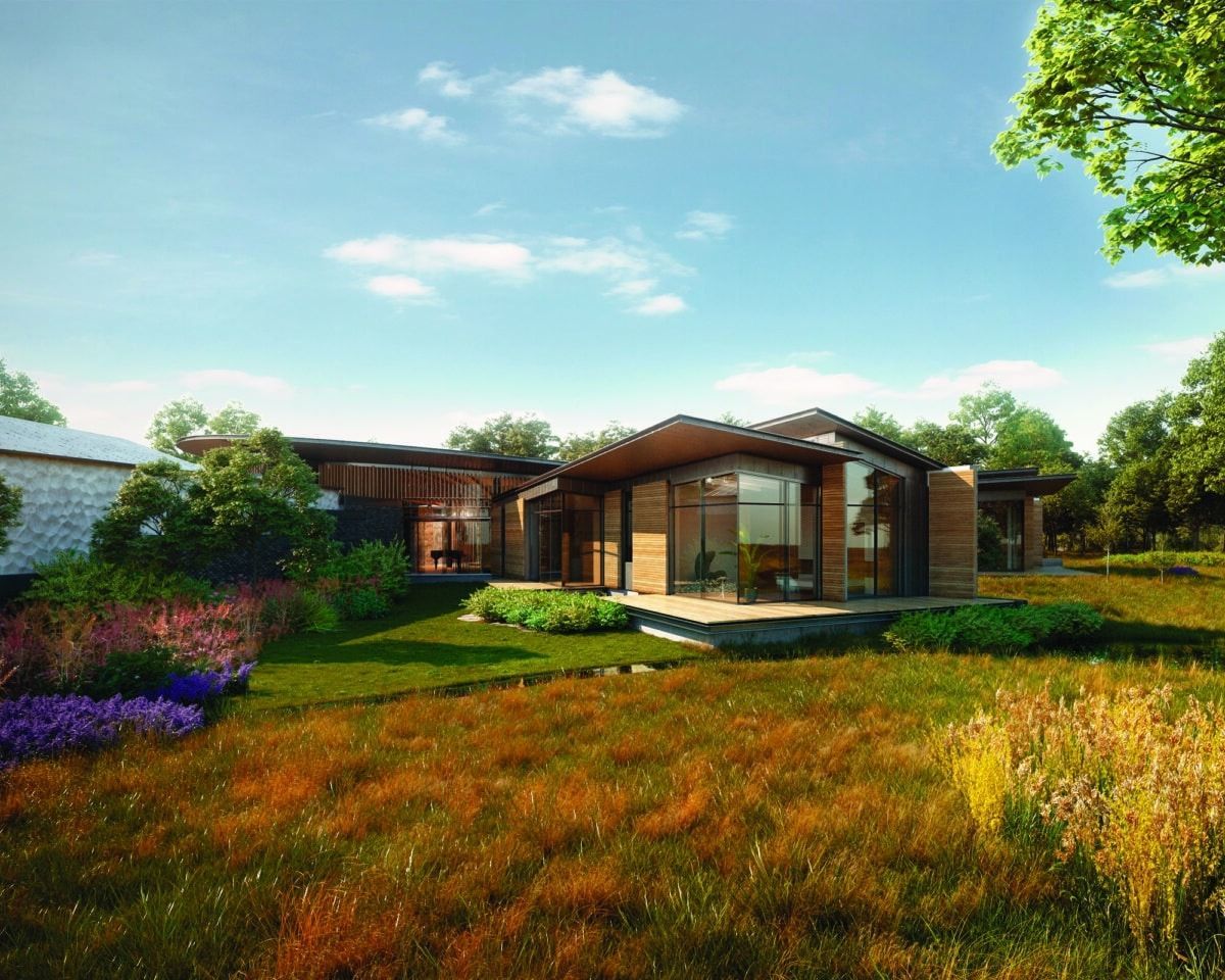Modern single-story house with large windows, surrounded by green lawn and orange wildflowers under a blue sky