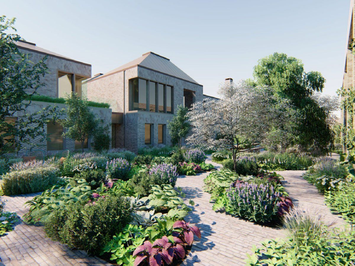 Modern house with a landscaped garden, stone paths, and purple flowering plants under bright daylight