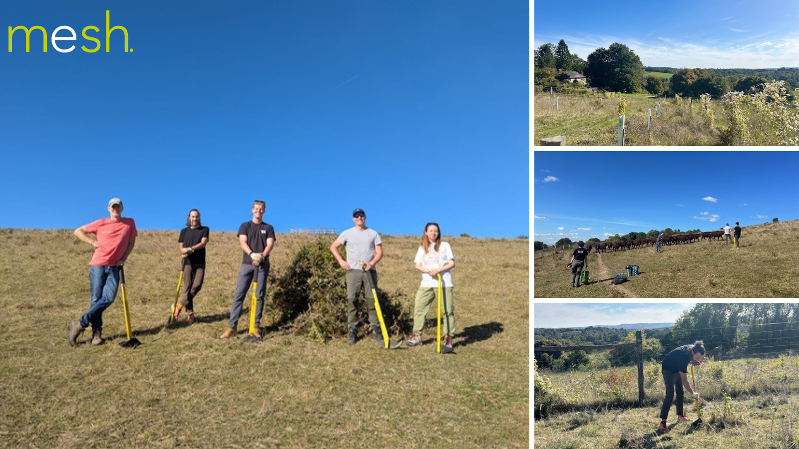 Volunteering in the Surrey Hills