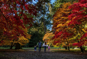 Westonbirt Arboretum - Forestry England