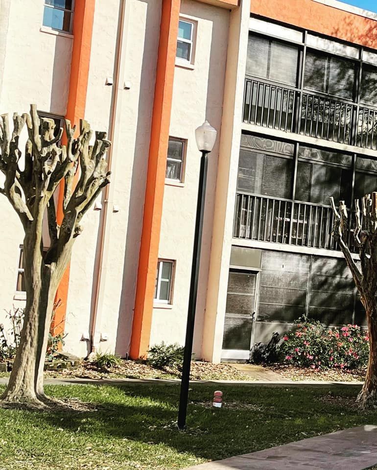 Apartment building with leafless trees and a lamppost along a grassy walkway