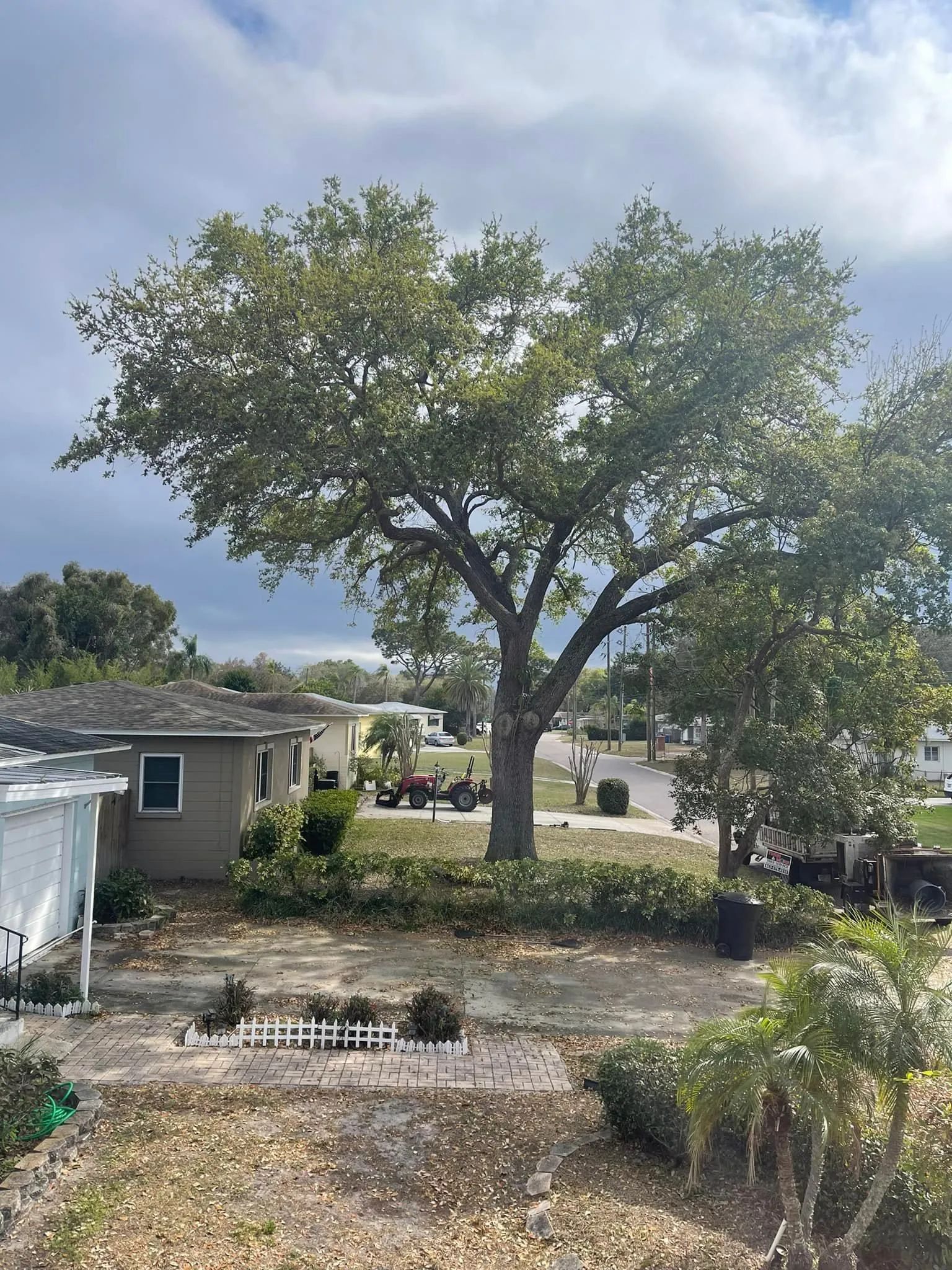 Front yard with a large tree, small house, and dry landscaping under a cloudy sky.
