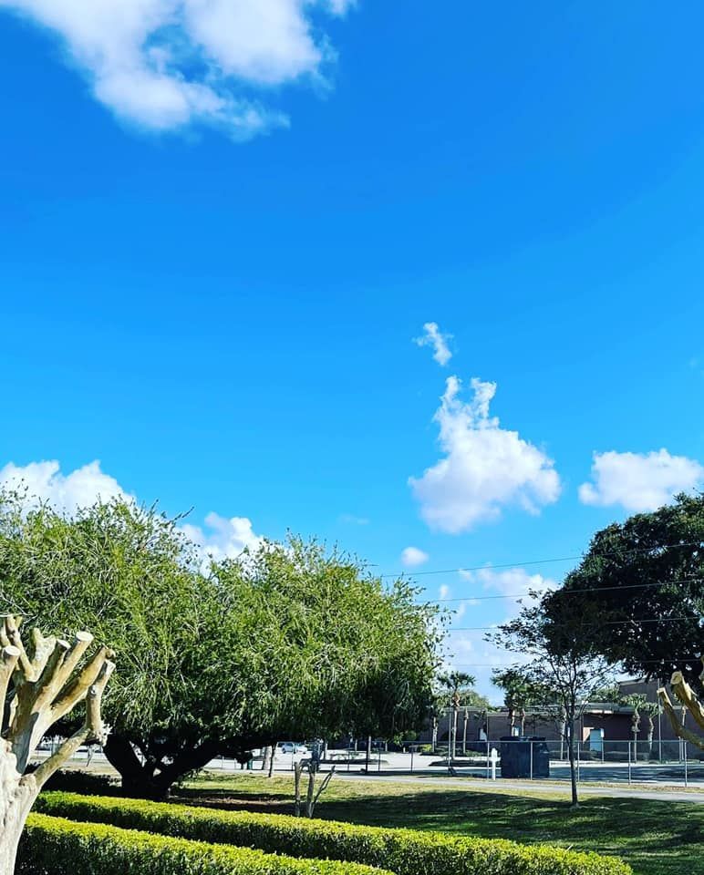 Bright blue sky over a park with green trees and a grassy field