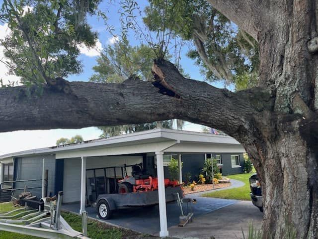 Large tree branch over a carport with a golf cart parked underneath a house in a residential yard