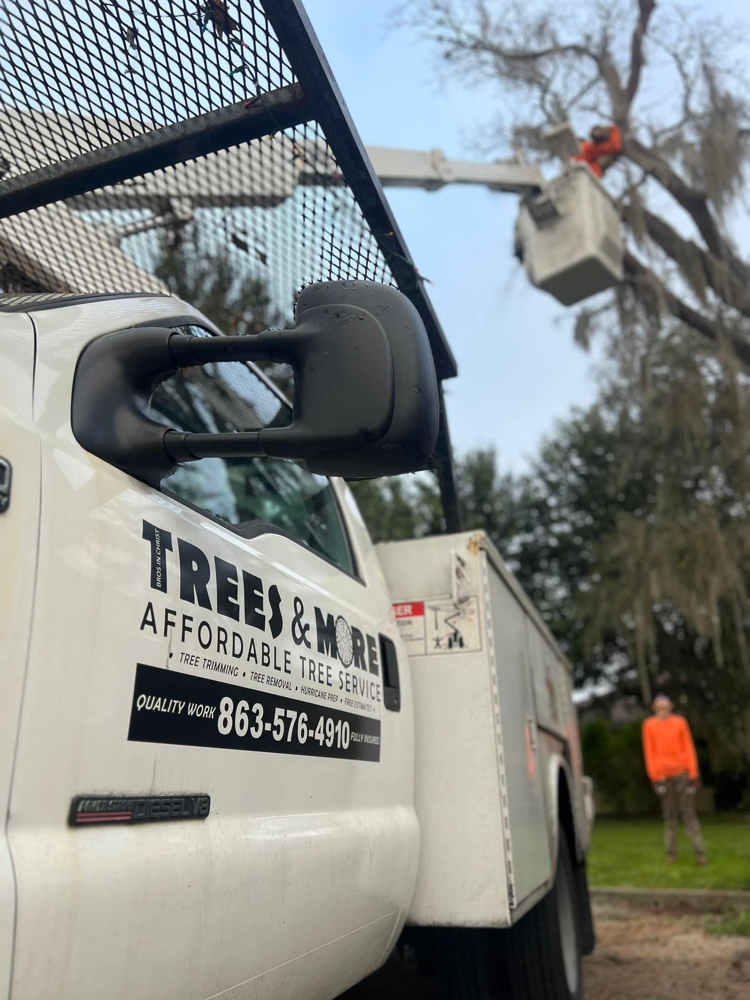 White Tree Works truck with a worker in a bucket lift trimming trees near a roadside.