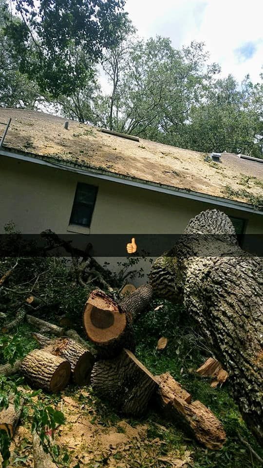 Fallen tree and scattered logs outside a small house with a damaged roof and broken window during cleanup.