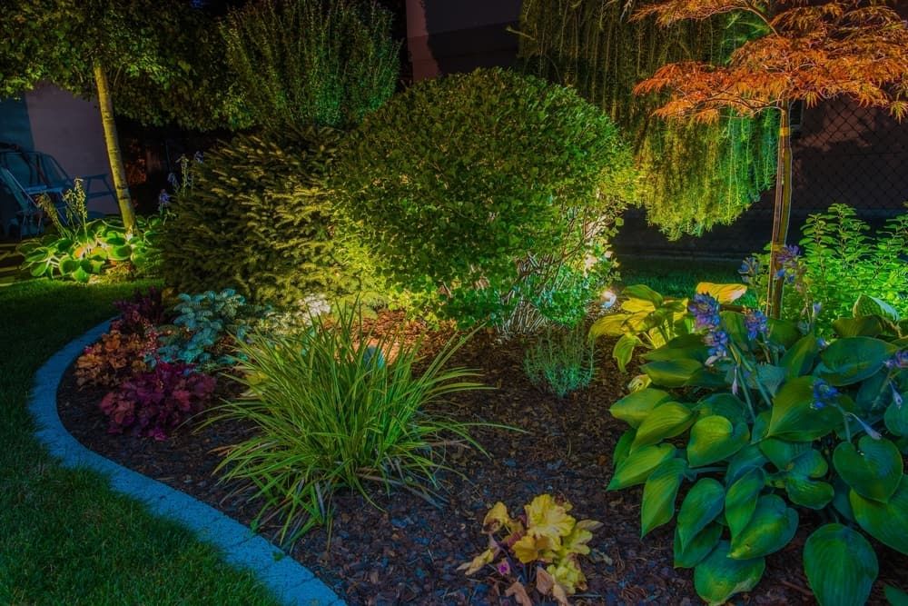 A Garden With Lots of Plants and Trees is Lit Up at Night — Sigley Electrical in Mooball, NSW